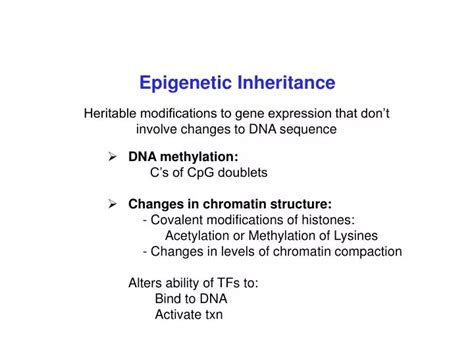 PPT - Epigenetic Inheritance PowerPoint Presentation, free download ...