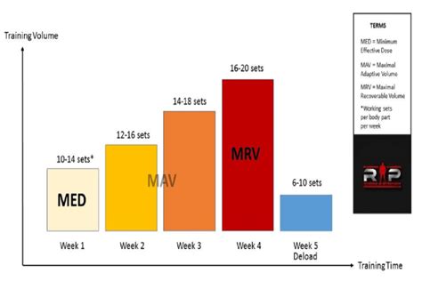 Volumen De Entrenamiento E Hipertrofia Gu A Completa