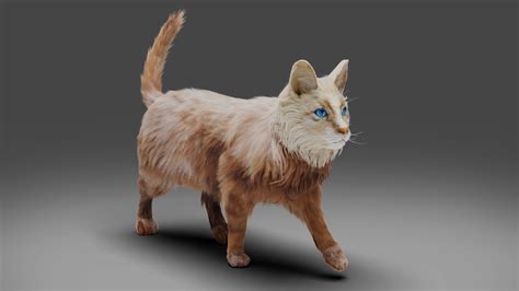 Pictures Of Cat In Blender at Wendell Blakely blog