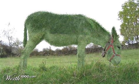 One Could Say That Your Ass Is Grass R Satisfyinggrass