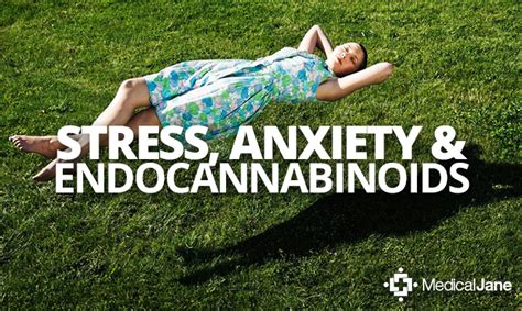 Treating Anxiety Disorders with Medical Marijuana