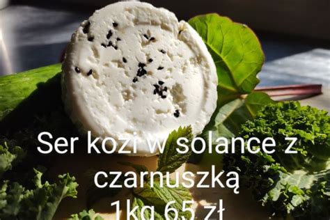 Ser Kozi Z Czarnuszk Rhd