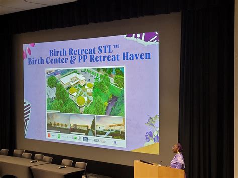 Maternal Mental Health Symposium: a Cross Collaboration Set to Improve