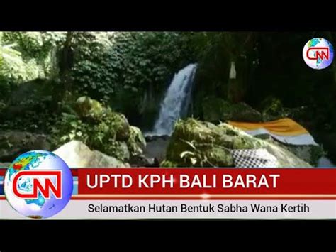 Jaga Kelestarian Hutan Kph Bali Barat Bentuk Sabha Wana Kertih Simak