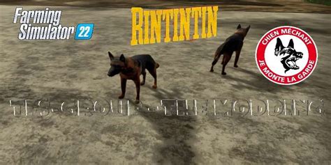 Rintintin V Fs Mod Farming Simulator Mod