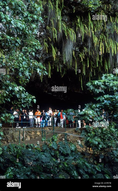 Hawaii Kauai Fern Grotto Stock Photo Alamy