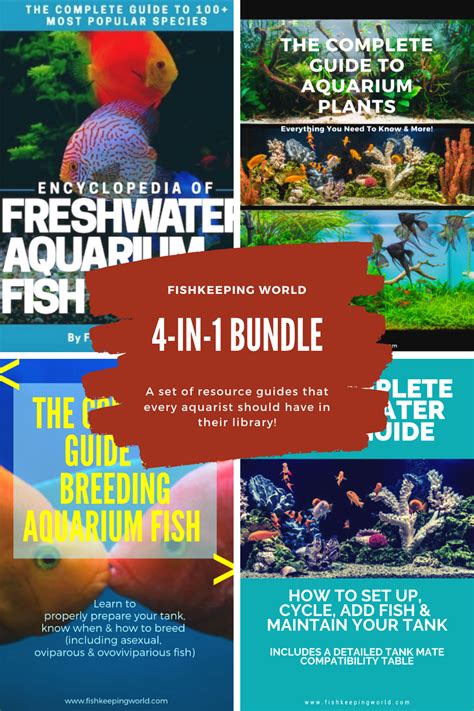 10 Gallon Fish Tanks Reviewed Best 6 Fishkeeping World