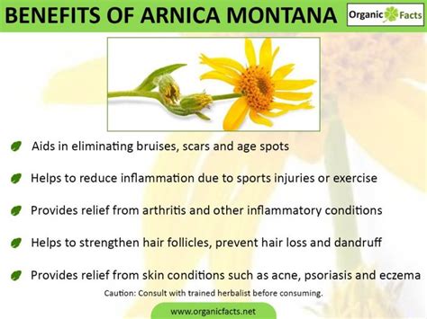 surprising benefits  arnica montana organic facts
