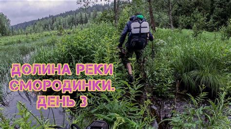 Долина реки Смородинки. Проходим вброд реку и продираемся лосиными ...
