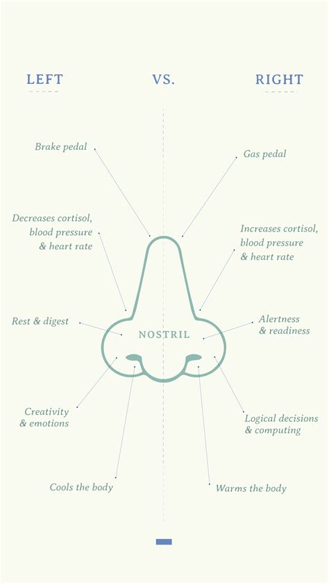 Pranayama Breathing Techniques And Tips Artofit