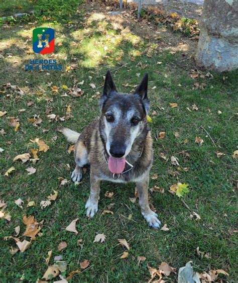 Policía Nacional on Twitter Kessam Rocky y Popet son tres