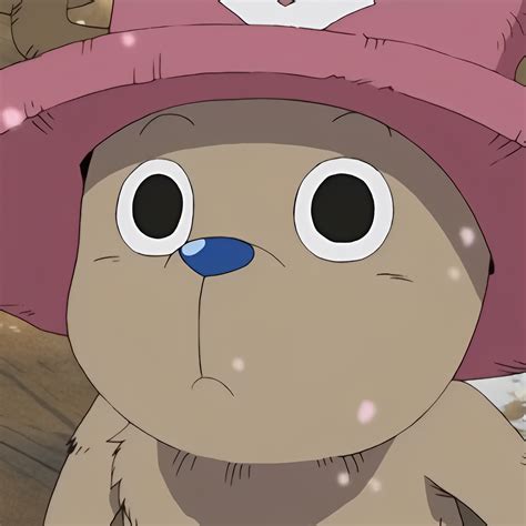𝘾𝙝𝙤𝙥𝙥𝙚𝙧 | One piece chopper, Chopper, Anime
