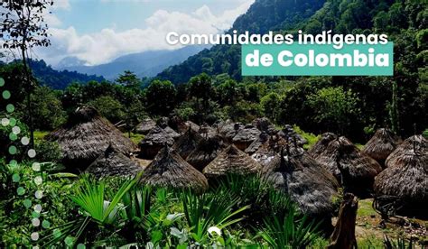 Las Comunidades Ind Genas De Colombia Y Su Importancia Howlanders