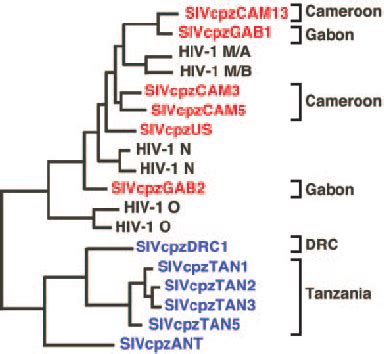 Phylogeography Of SIVcpz Adapted From Ref 51 The Phylogenetic