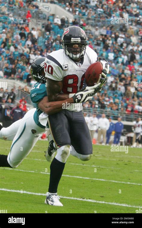 Andre Johnson Catch