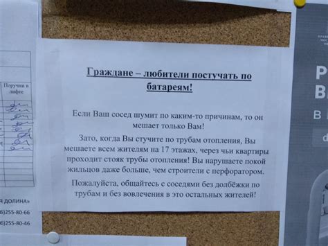 Объявление в подъезде | Пикабу