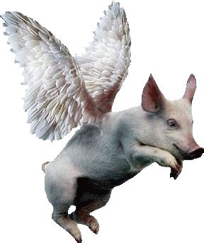 The Adventures Of A Rednexk Cock Sucking Dildo Fist Pig My All Male Gay Circus