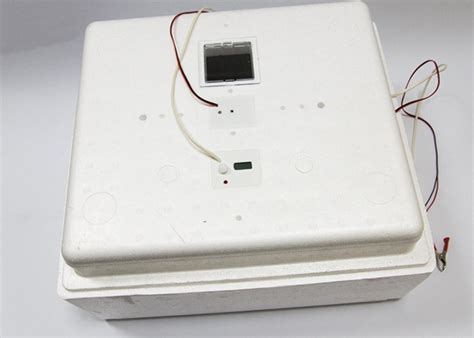 Обзор лучших инкубаторов отечественного и зарубежного производства