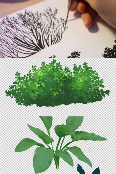 Artstation Leafy Bushes Cutout Traditional And Numeric Painting