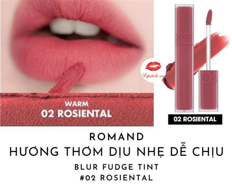 Review Son Romand Blur Fudge Tint Rosiental Cánh Hồng Khô Hot Hit
