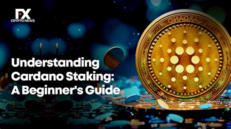 Understanding Cardano Staking A Beginner S Guide