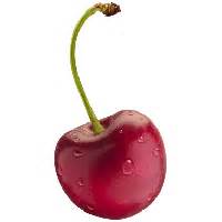 cherry fruit transparent hq png  freepngimg