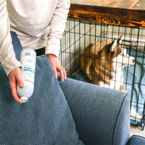 Petfriendly Flea Spray For House Flea And Tick Home Spray