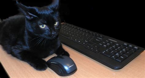 MES-100: Беспроводная мультимедиа клавиатура и мышь, 2.4 ГГц