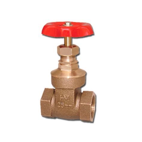 Gate Valve at Best Price, Gate Valve Manufacturer in Gujarat