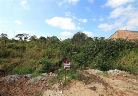 Terrenos Venda No Eucaliptos Na Fazenda Rio Grande Chaves Na M O