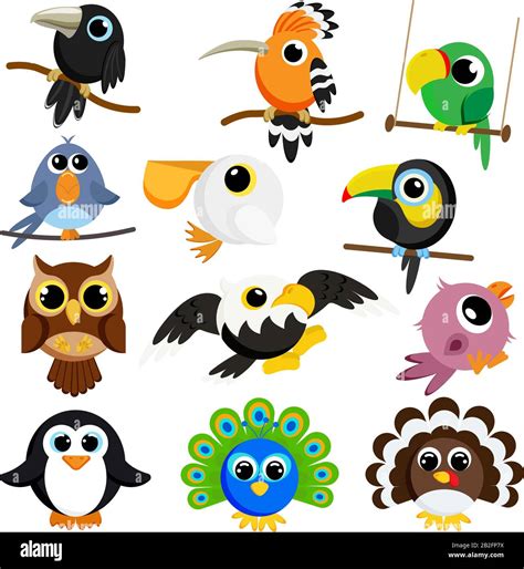 Cute Birds Set Vector Image Cartoon Characters Flat Vector Stock