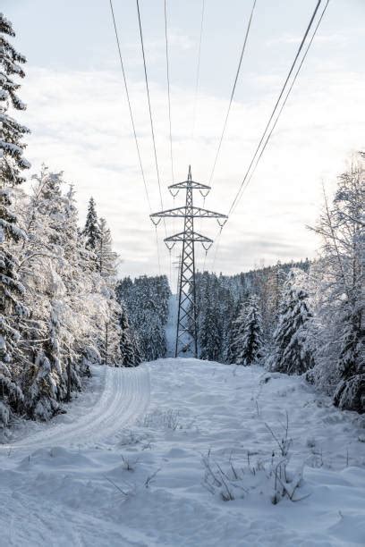 70+ Nesodden Stock Photos, Pictures & Royalty-Free Images - iStock