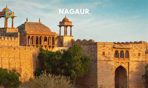 Nagaur: Explore A Rich Historic City In Rajasthan!