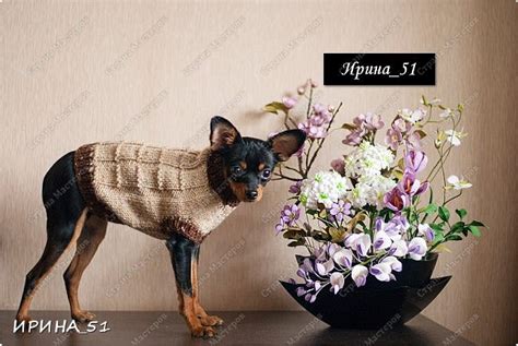 Реалистичные цветы из фоамирана. | Страна Мастеров