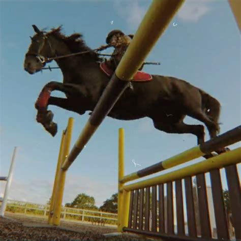 zoe raven  rein tv show horse aesthetic horse riding aesthetic