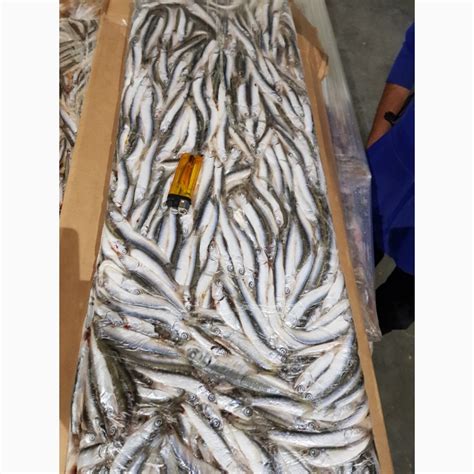 Купить БЫЧОК азовский, тюлька, хамса, тушка бычка оптом - Бердянск ...