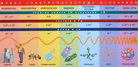 SWe-просвет-2. Электромагнитное излучение: maksina — LiveJournal