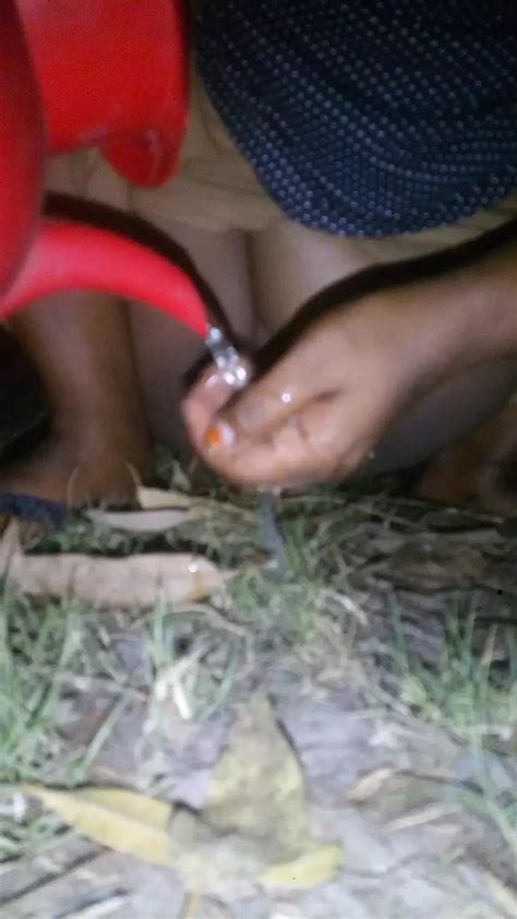 Deshi Beautiful College Girl Shows His Pussy Bangladeshi Anal Porn XHamster