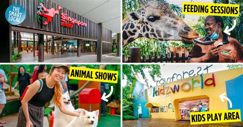 Singapore Zoo Animal Show
