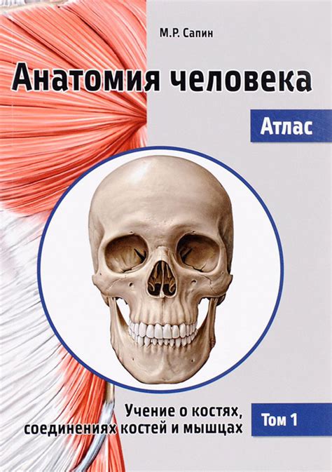 «Атлас анатомии человека» Неттер Ф.; Пер. с англ.; Под ред. В.Н ...