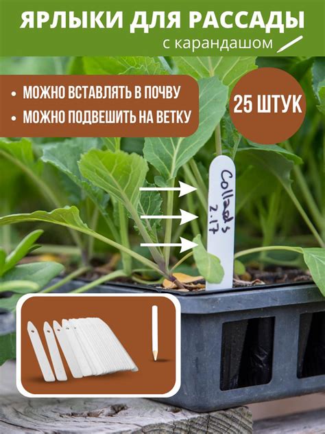 Садовые таблички для маркировки растений купить по низкой цене в ...