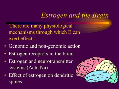 PPT Sex Steroid Hormones And Memory PowerPoint Presentation Free