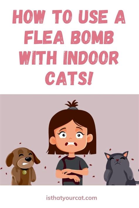 Indoor Flea Bomb: Top Picks and Buying Guide - Hunter Games Magazine