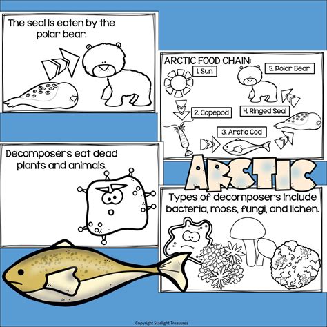 Arctic Decomposers