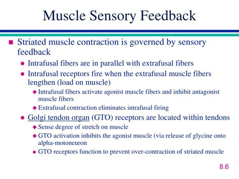 PPT Carlson 7e Chapter 8 Control Of Movement PowerPoint