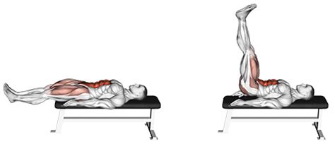 Exercise Database Abs Lying Flat Bench Leg Raises Jase Stuart