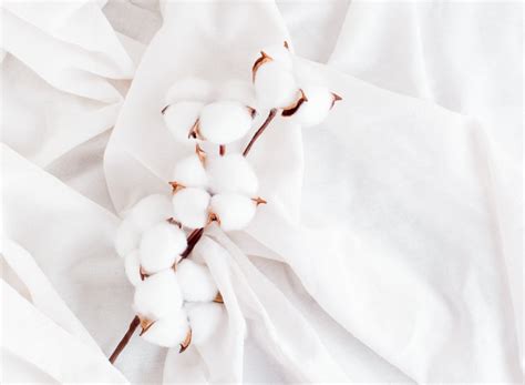 iCotton by ALONGE: A Classic Reinvented for Ultimate Cool Comfort