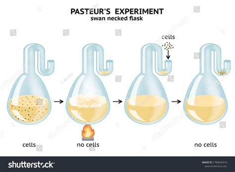 Biogenesis Images, Stock Photos & Vectors | Shutterstock