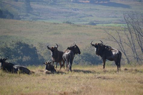 Visit Eswatini: 2024 Travel Guide for Eswatini, Africa | Expedia