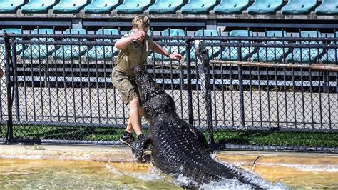 Robert Irwins Close Call With Monty The Crocodile Australia Zoo